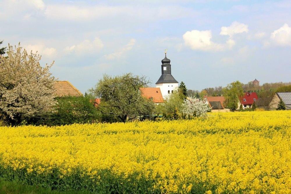 Zschampert Hof Bei Leipzig Ruhige Bauernhof Fuer 4-5 Personen Apartment *